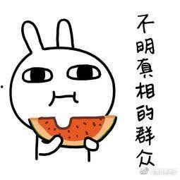 娱乐吃瓜酱想哄你的人,娱乐吃瓜酱的甜蜜哄你人生攻略